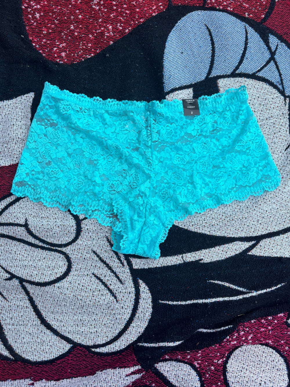 NWT TORRID TEAL LACE CHEEKY PANTIES SIZE 2